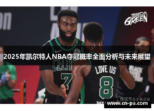2025年凯尔特人NBA夺冠概率全面分析与未来展望