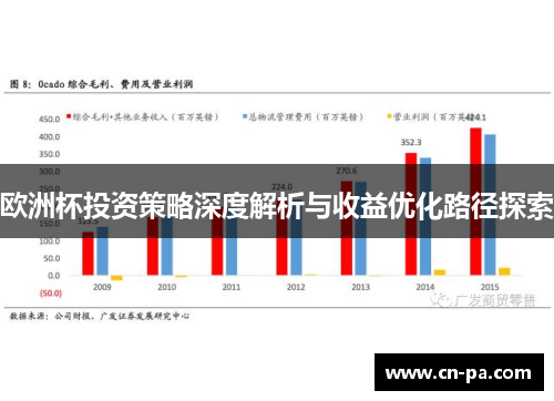 欧洲杯投资策略深度解析与收益优化路径探索