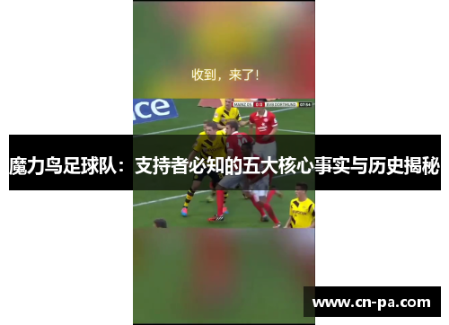魔力鸟足球队：支持者必知的五大核心事实与历史揭秘